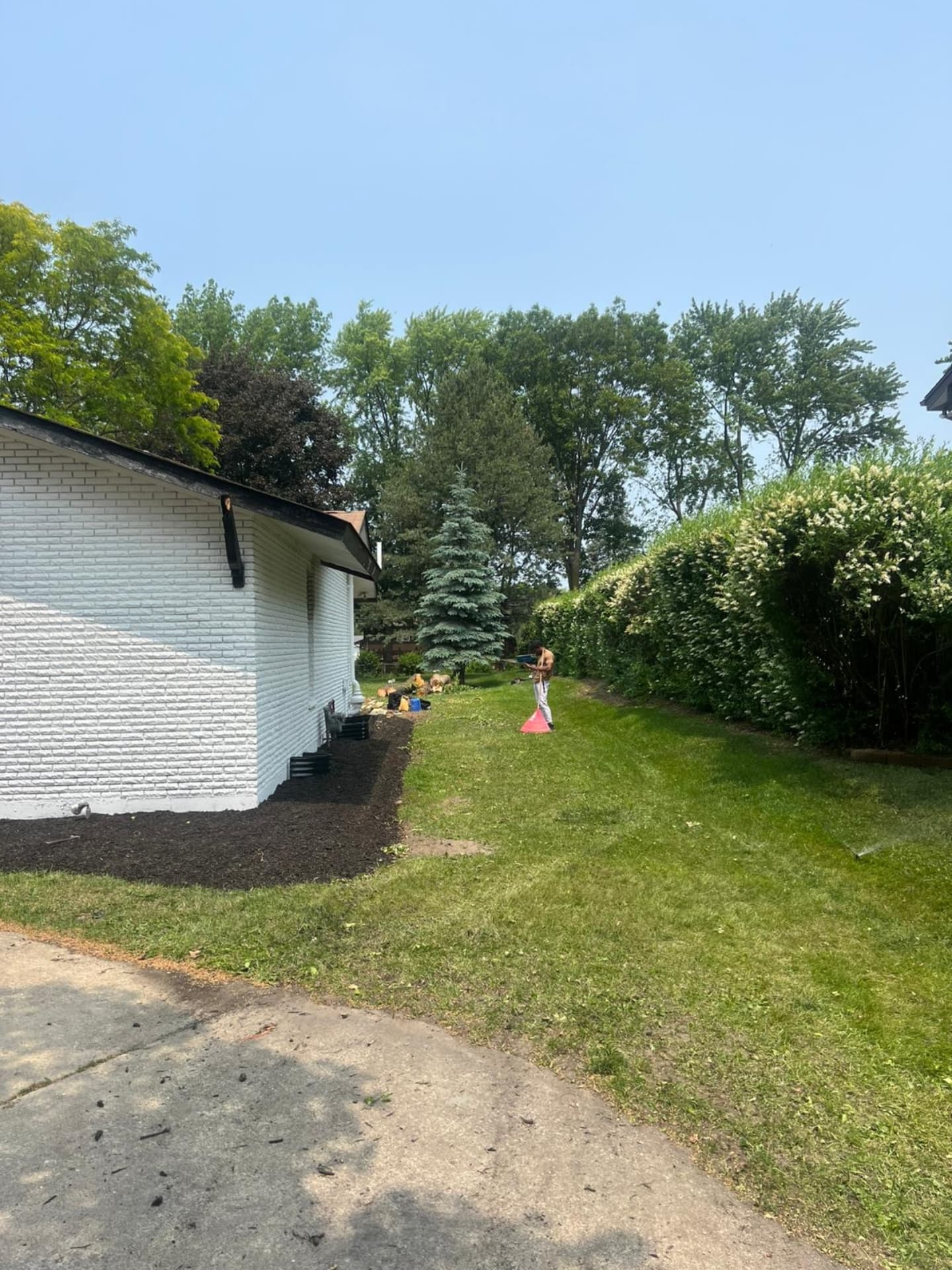 Tree Removal Site Preparation image 3