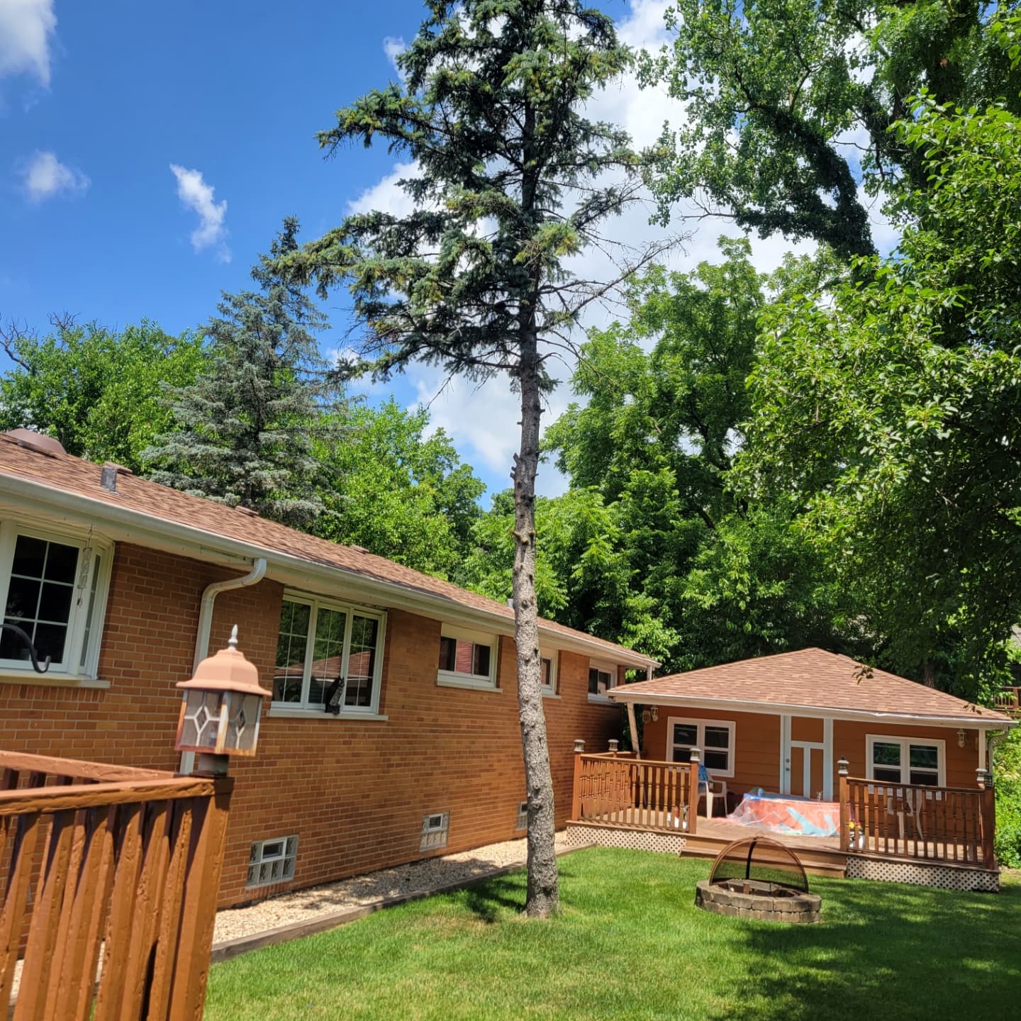 Three-Tree Removal and Property-Line Pruning image 3
