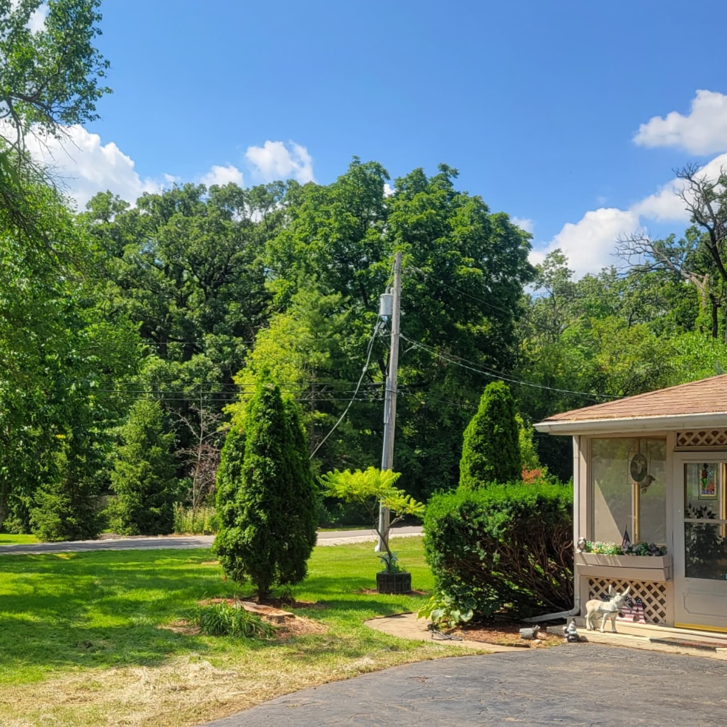 Three-Tree Removal and Property-Line Pruning image 2